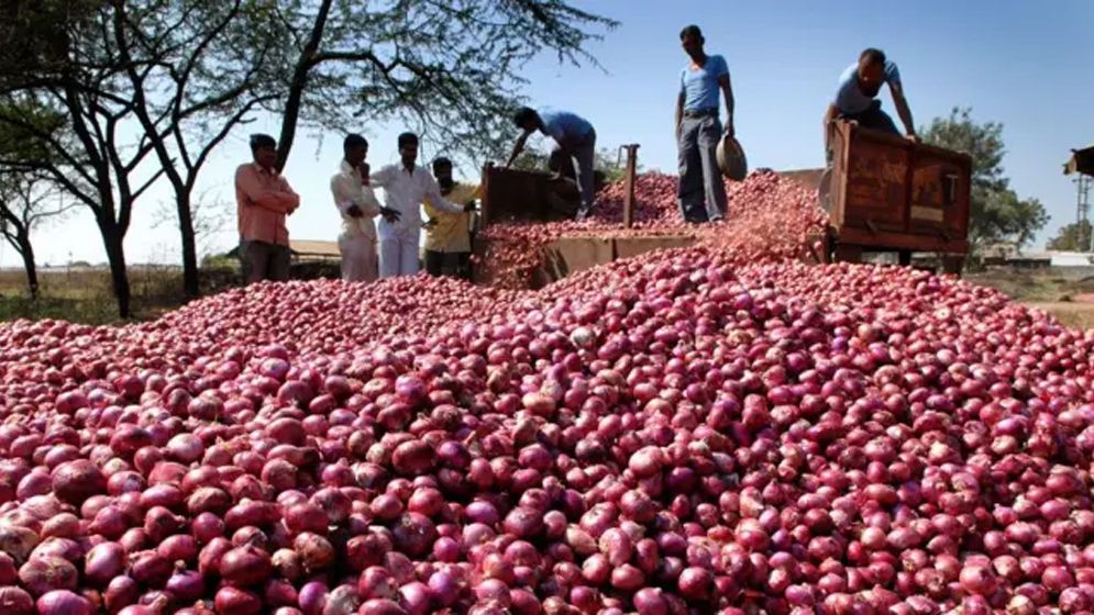 onion-price-671fd28776c84.jpg