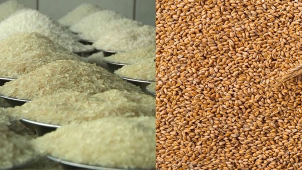 rice-wheat-672bd3562c96a.jpg