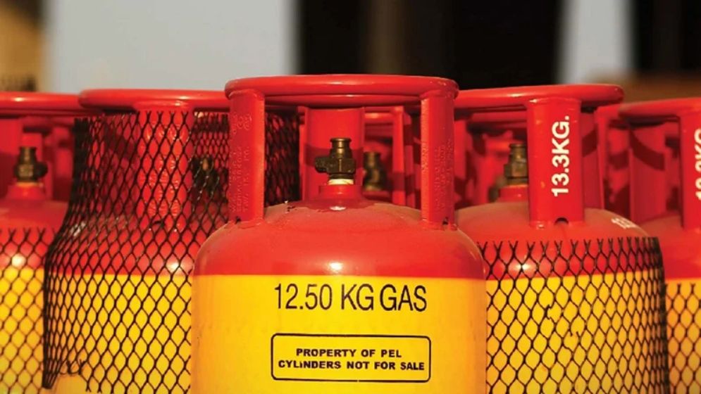 lPG-PIC-6791ff91652f4.jpg